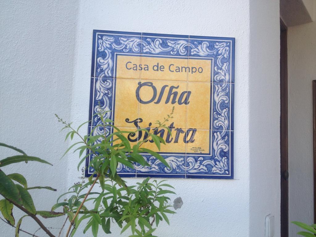House 3 Bedroon - Near Sintra And Lisbon Holiday home Sintra
